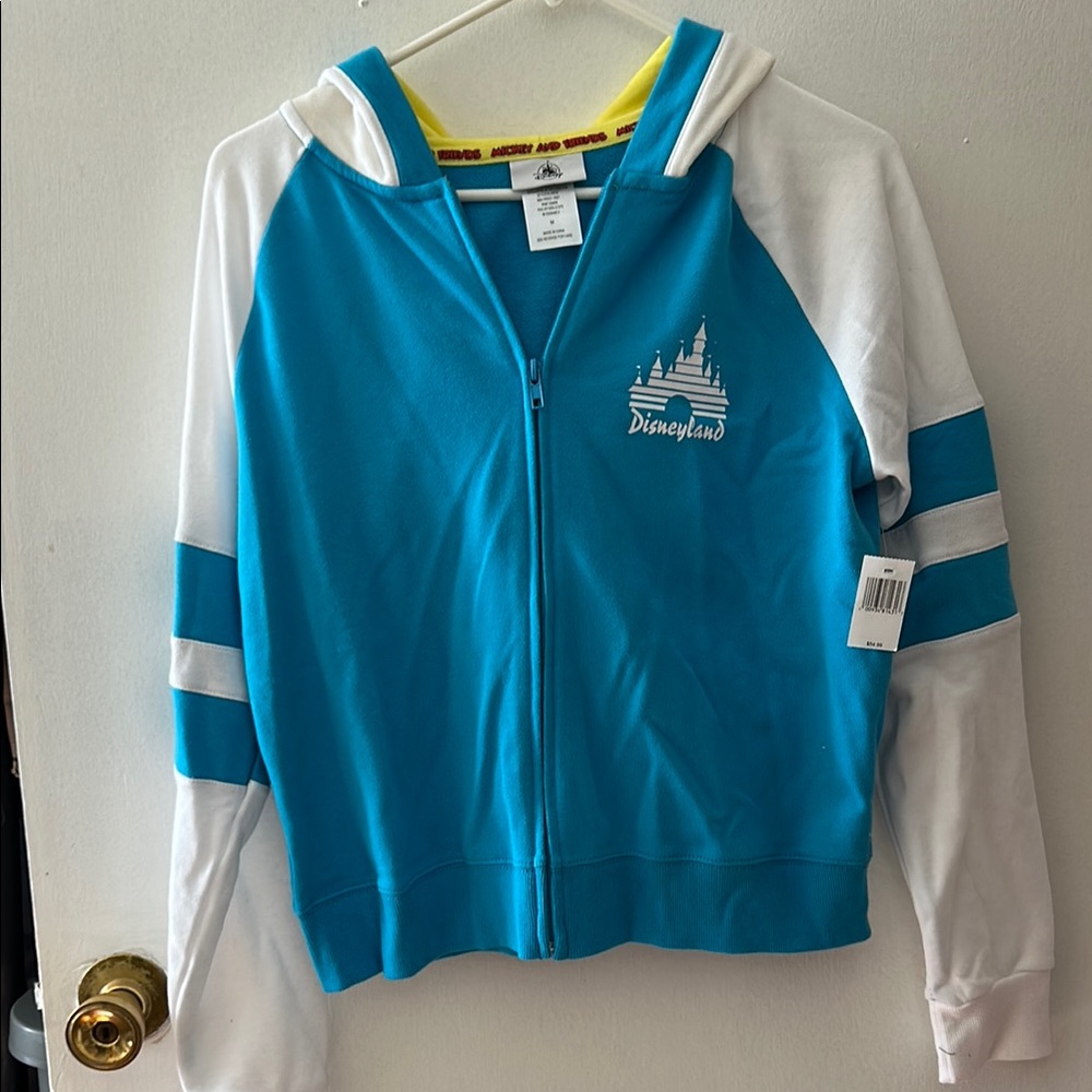 Mickey and Friends Disneyland Resort hoodie